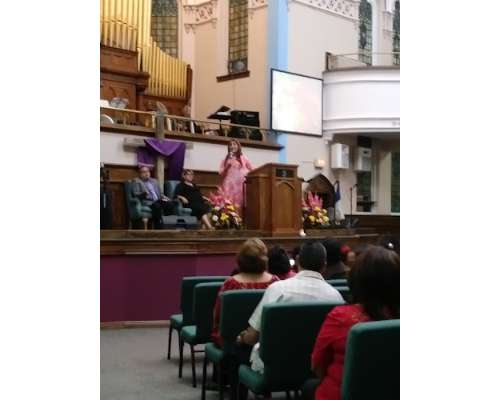 Imagen no disponible